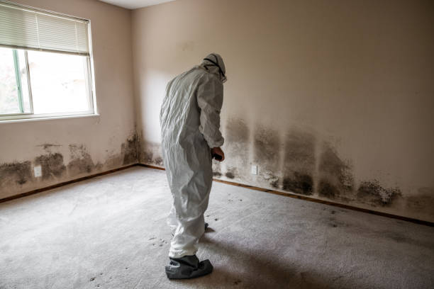 Best Industrial Mold Remediation in Sugarland Run, VA